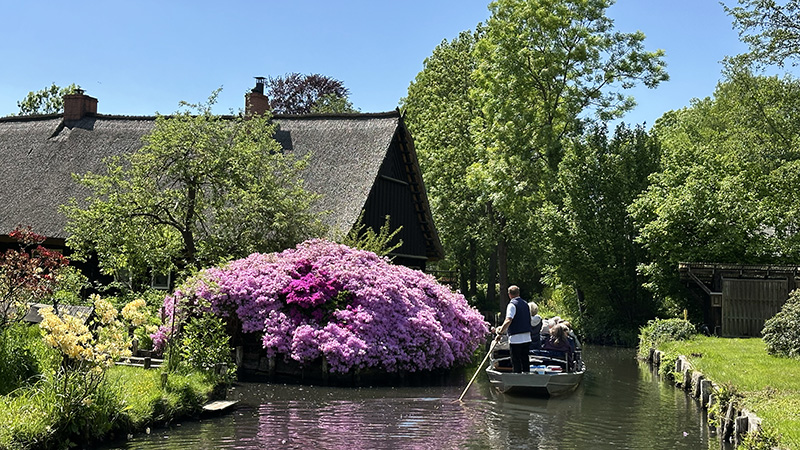 Hemresa med smakrika minnen i bagaget