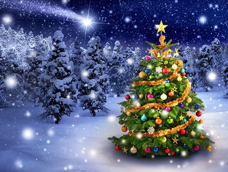 Jul/Nyrs - resor  2025-2026