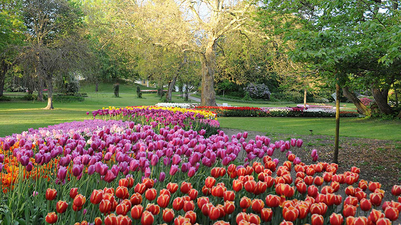 Tulpanfestivalen p Gavn Slott